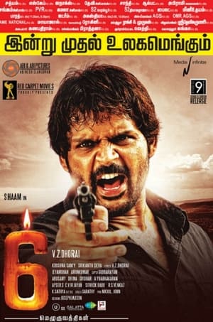 6 Candles (2013) Hindi Dubbed 480p HDRip 350MB - Movierulz