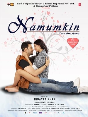 Namumkin Tere Bin Jeena 2020 Movie 480p HDRip – [300MB] - Movierulz